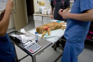 06 VaccinateRevolution