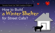 HowToBuildaShelter-EKPark