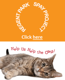 TSC website - Regent Park