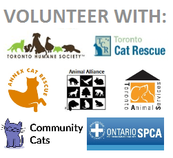 Logo - Coalition - without TSC - volunteer with