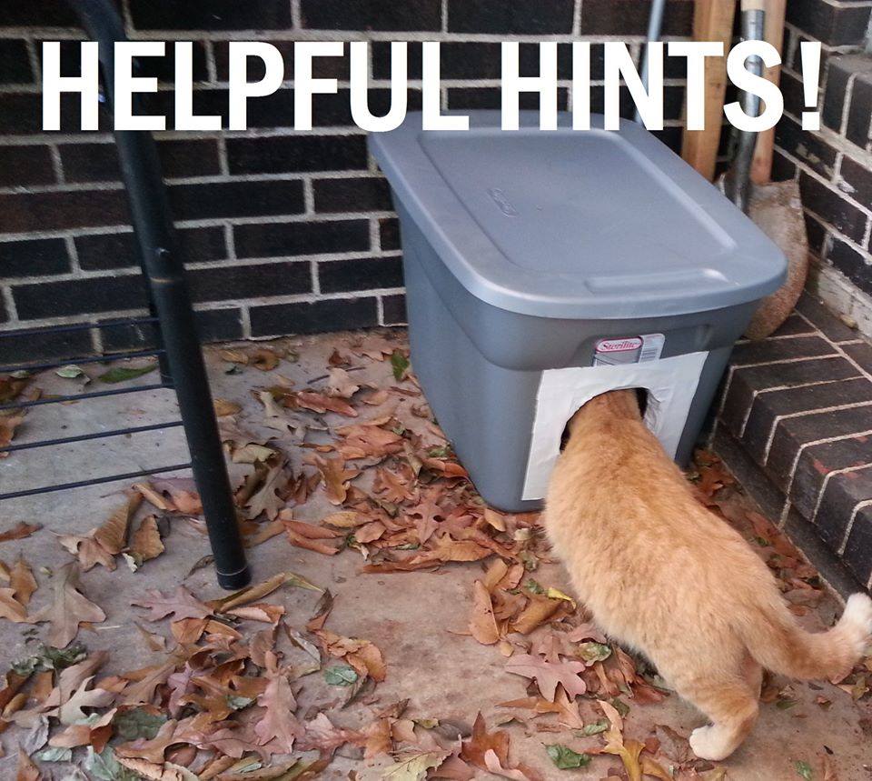 TSC website - helpful hints where to place shelters