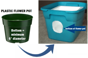Flower pot instead of plastic tube for shelter entrance Sep2020