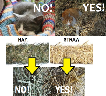 Straw not hay